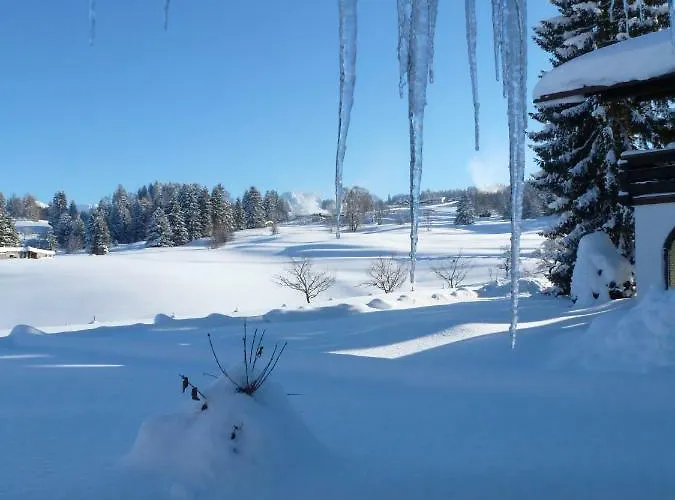 Baldauf's Alpchalet * Oberstdorf
