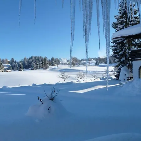 Baldauf's Alpchalet * Oberstdorf